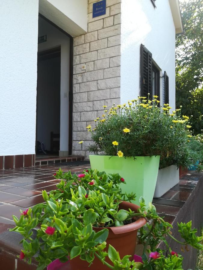 Apartments Eliva Umag Bagian luar foto