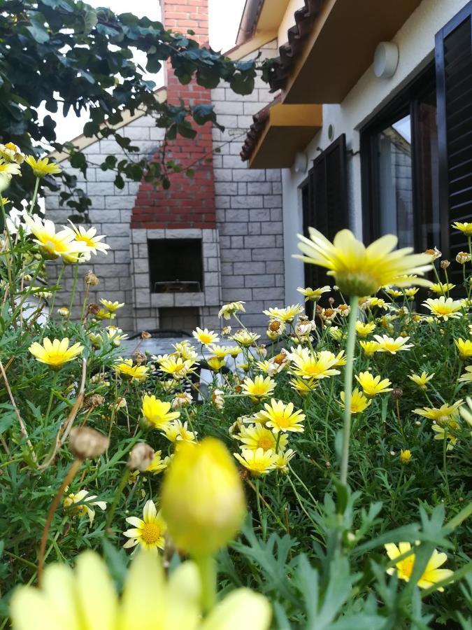 Apartments Eliva Umag Bagian luar foto